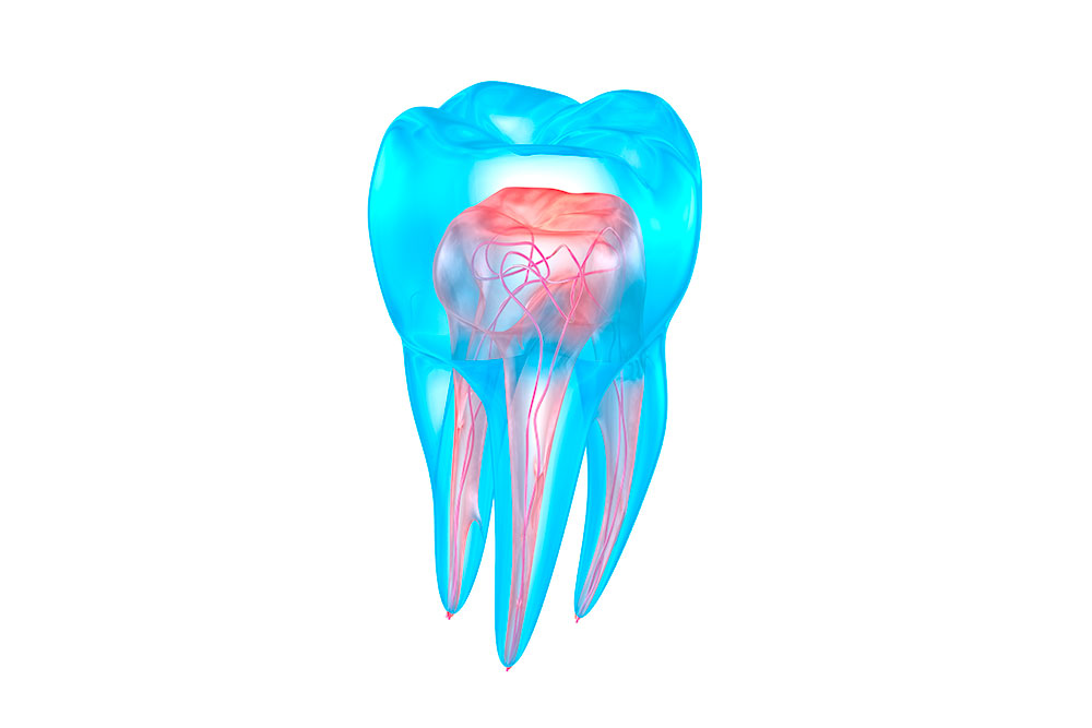 Endodonzia